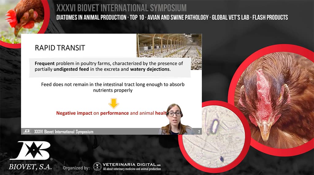 Alquerfeed Diatom and Global Vet’s Lab lead the XXXVI Biovet International Symposium