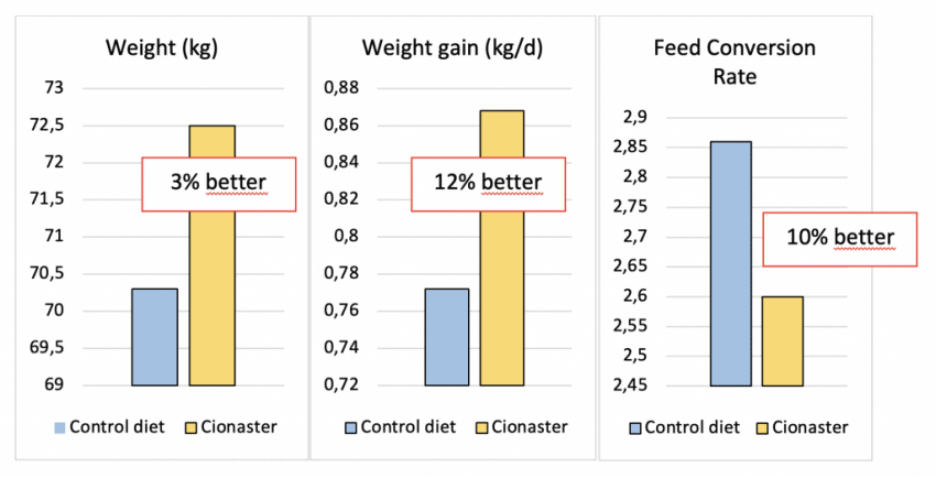 Performance improvement in pig