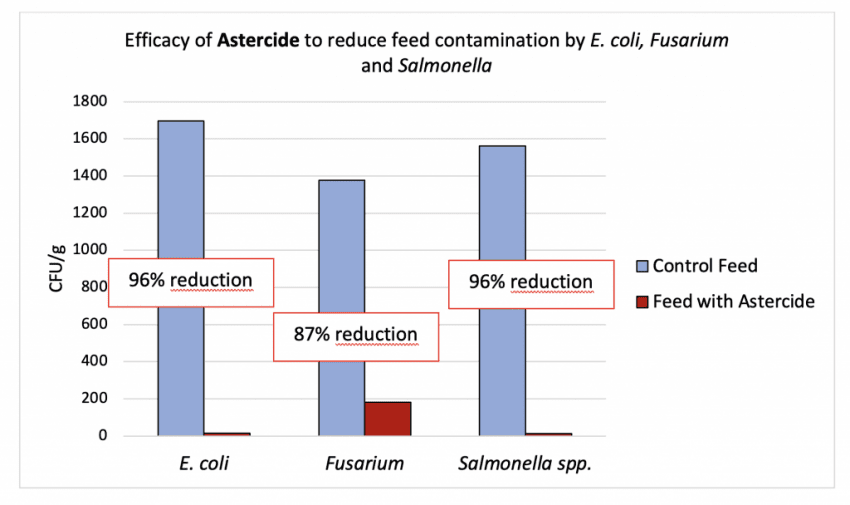 Reduction of E. coli