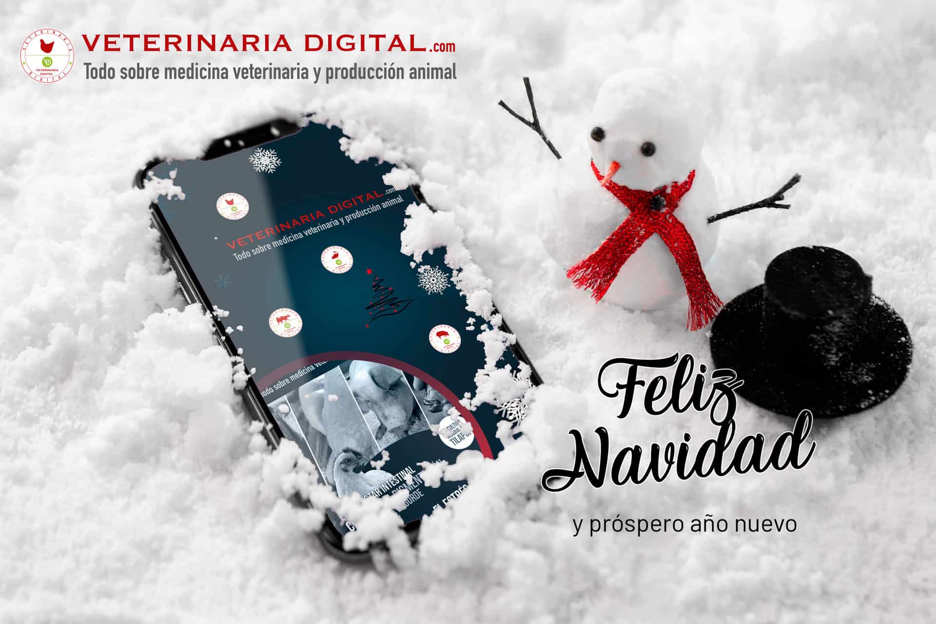 Feliz Navidad y Próspero Año Nuevo 2022