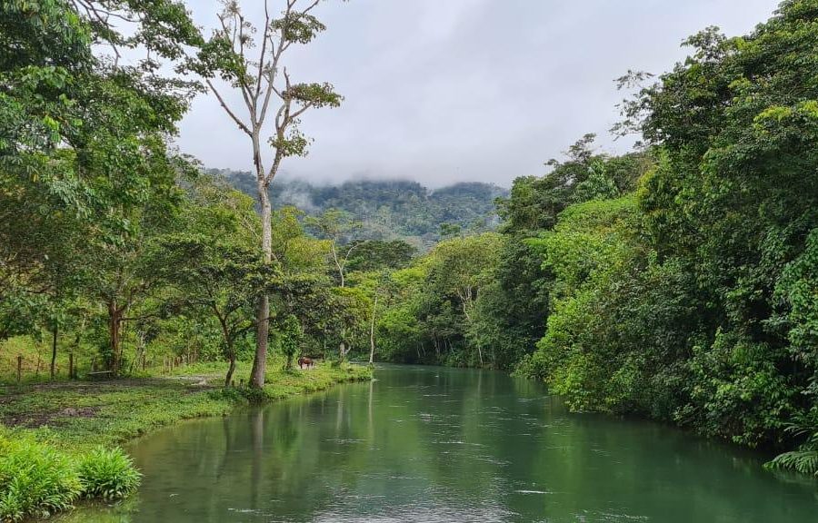 Río aguas claras