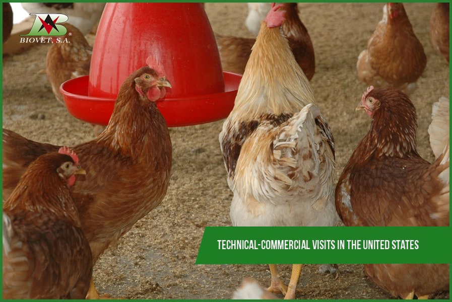 Technical-commercial visits in the United States