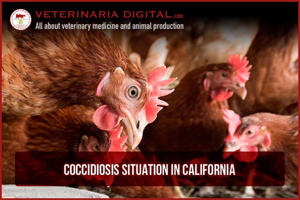 Coccidiosis situation in California