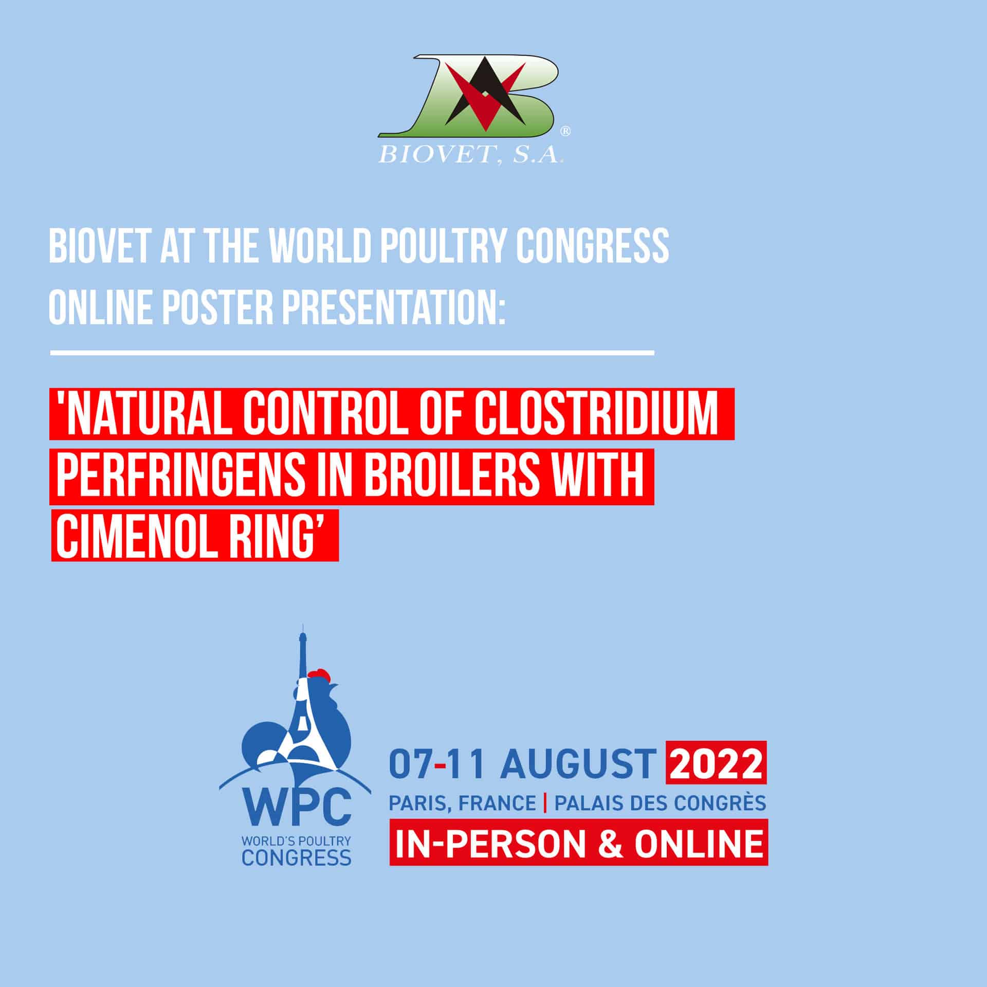 Alquermold Natural for the natural control of Clostridium perfringens in broilers