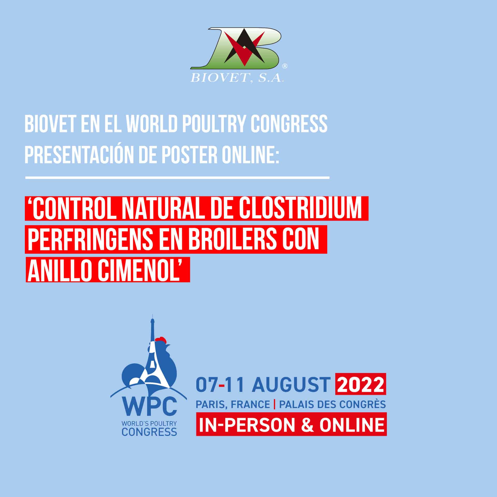 Alquermold Natural para el control natural de Clostridium perfringens en broilers