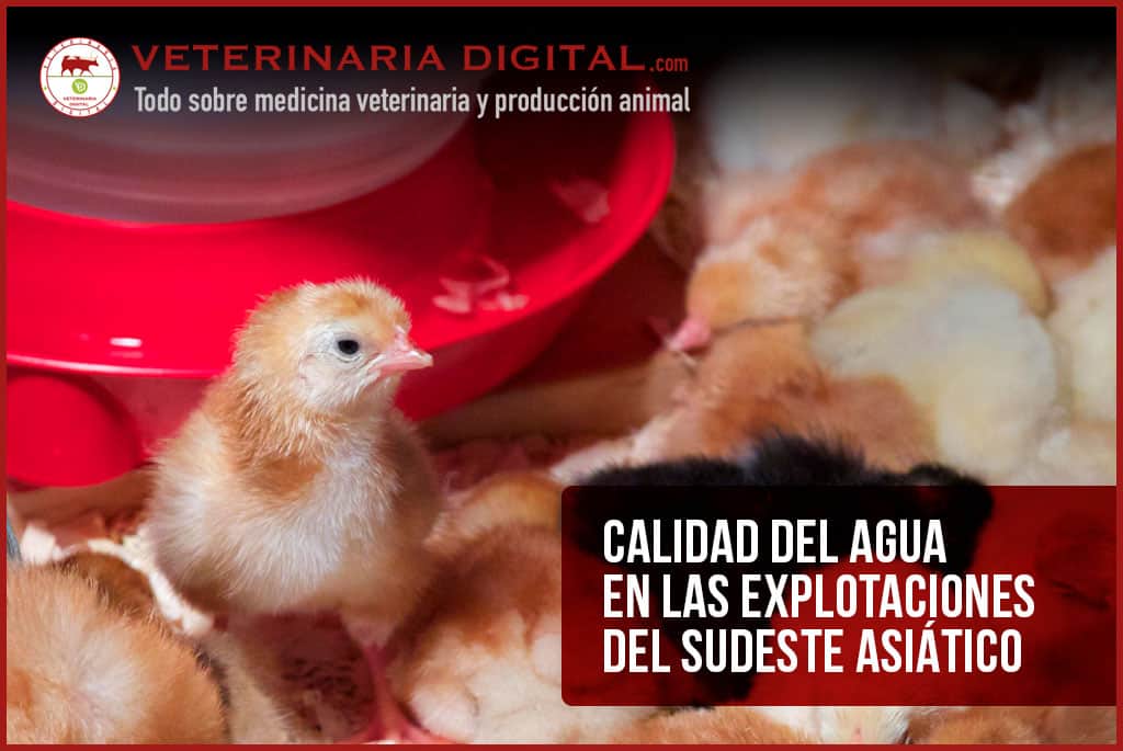 Calidad del agua en las explotaciones del sudeste asiático