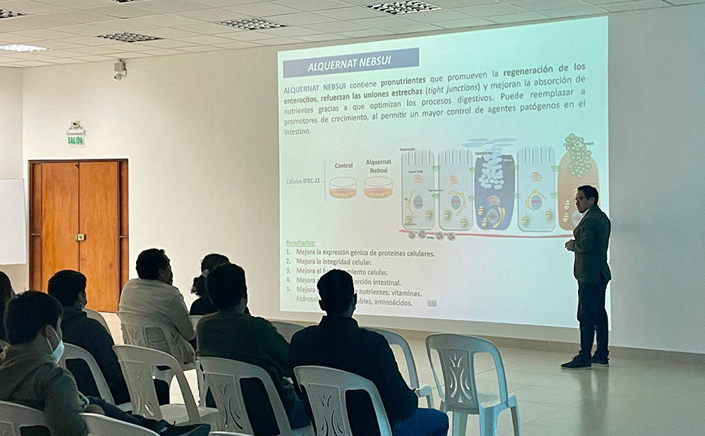 veterinarios, personal técnico y clientes de Adivet