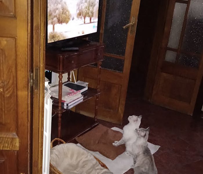 Watching TV