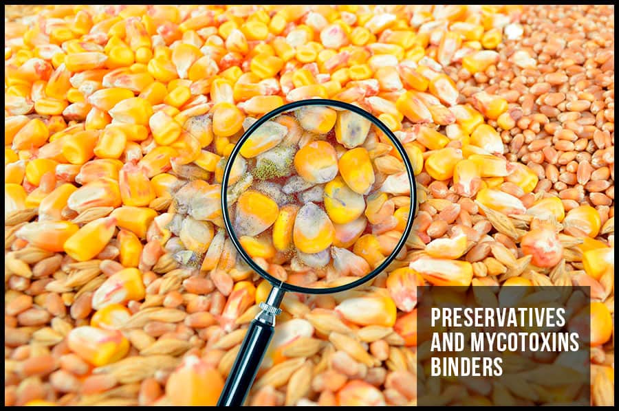 PRESERVATIVES AND MYCOTOXINS BINDERS