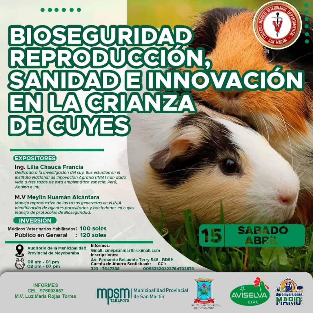 Curso Cuyes