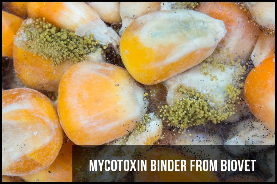 MYCOTOXIN BINDER FROM BIOVET