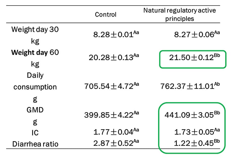 control - Lactobacillus 