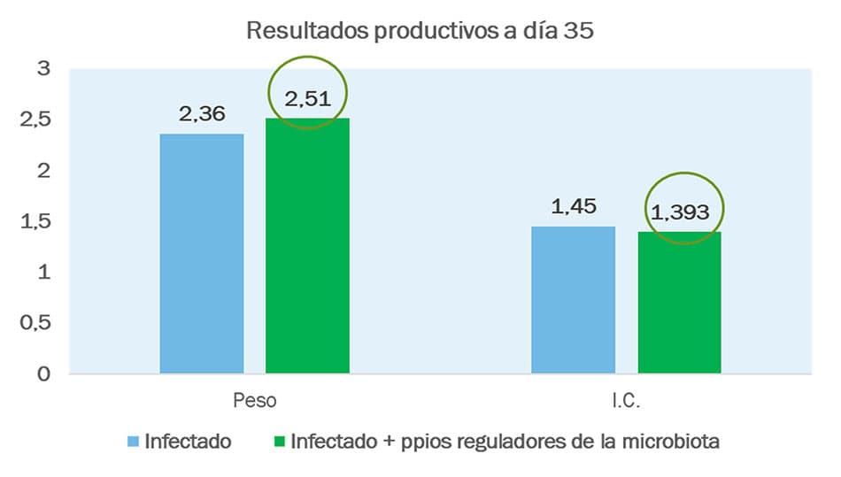 reducción estadísticamente significativa de C. perfringens y un aumento de Lactobacillus
