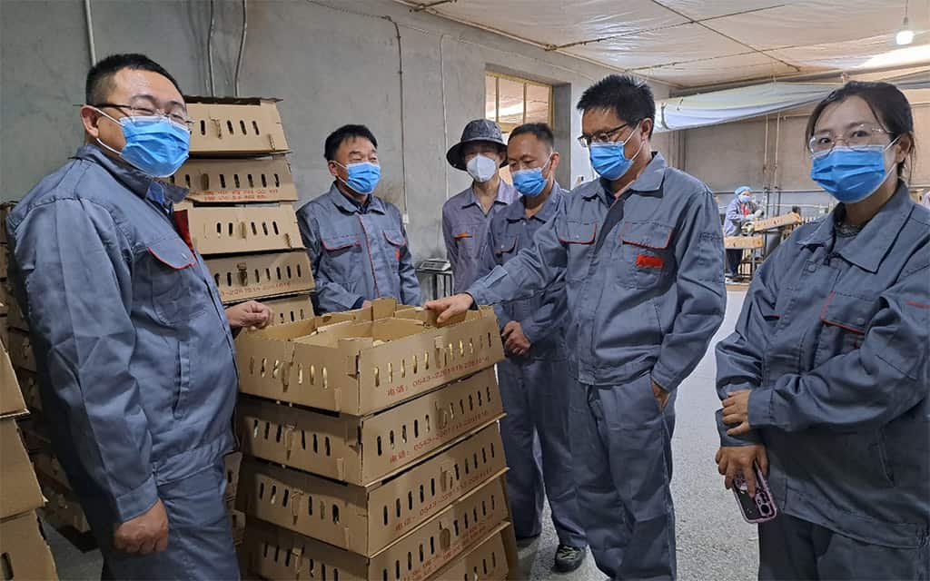 visita técnica de Minervet a china