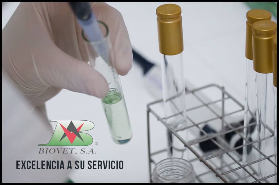 Excelencia a su servicio