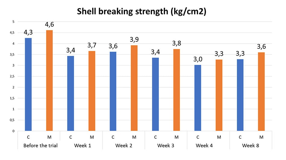 shell thickness had - calcium in laying hens