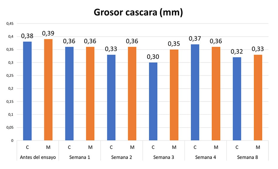 grosor de la cascara del huevo por falta de calcio - falta de calcio en huesos