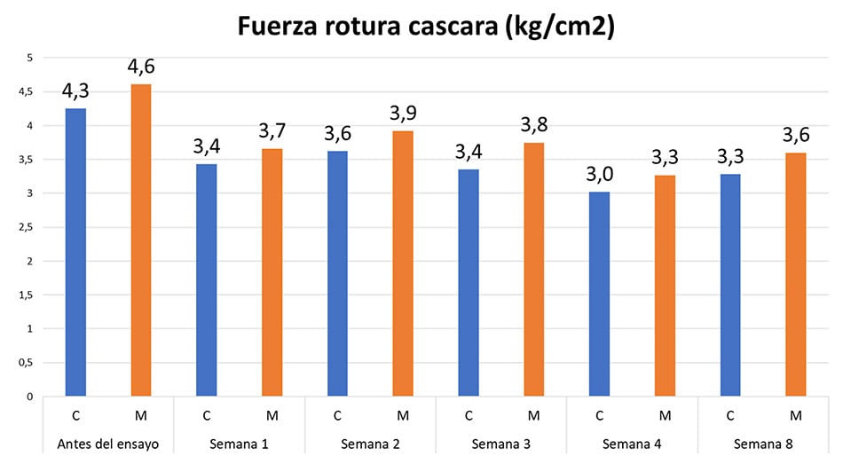 Importancia del calcio en ponedoras