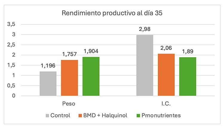 rendimiento en ensayo