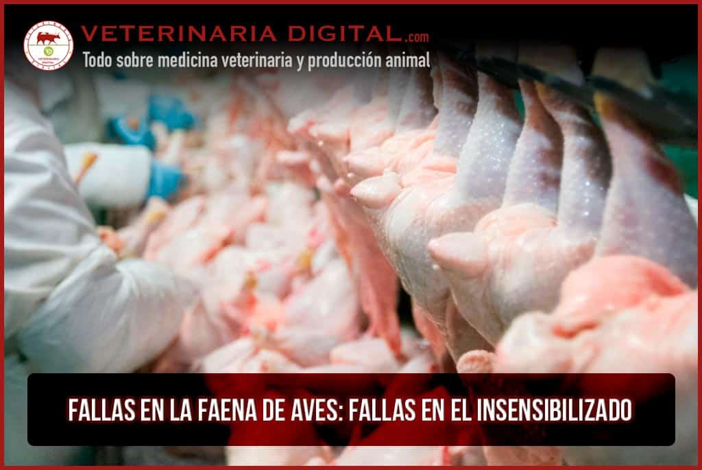 Fallas en la faena de aves: Fallas en el insensibilizado