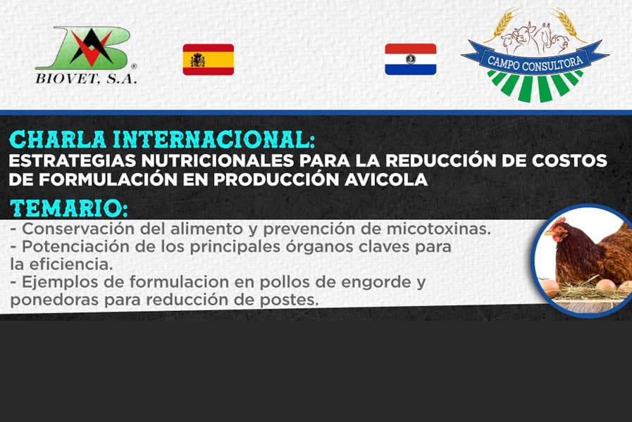 Soluciones para mejorar el rendimiento en la industria avícola paraguaya