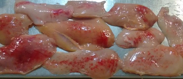 presence of muscle hemorrhages and the retention of blood inside