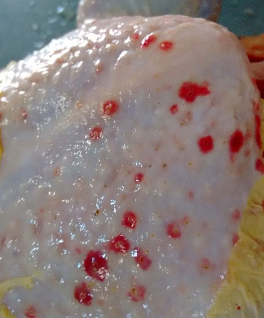 muscle hemorrhages