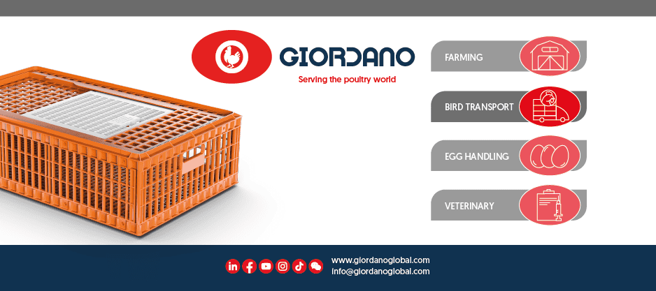 giordanoglobal banner mobile