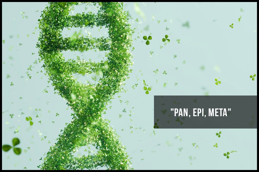 «PAN, EPI, META»