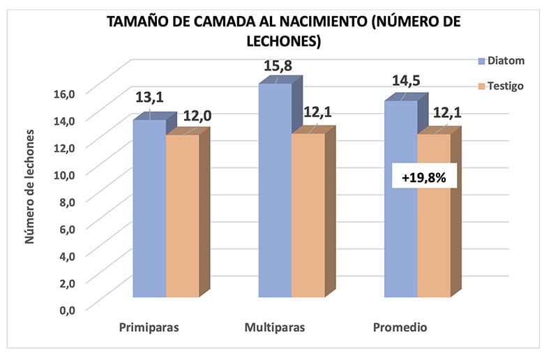 TAMAÑO DE CAMADA AL NACIMIENTO (NÚMERO DE LECHONES)
