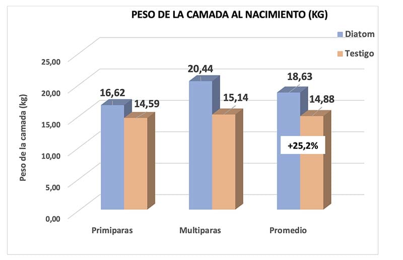 PESO DE LA CAMADA AL NACIMIENTO (KG)
