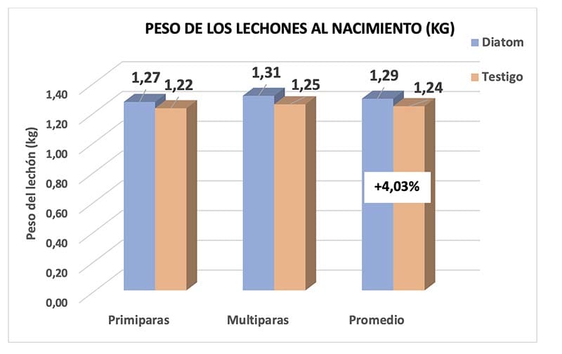 PESO DE LOS LECHONES AL NACIMIENTO (KG)
