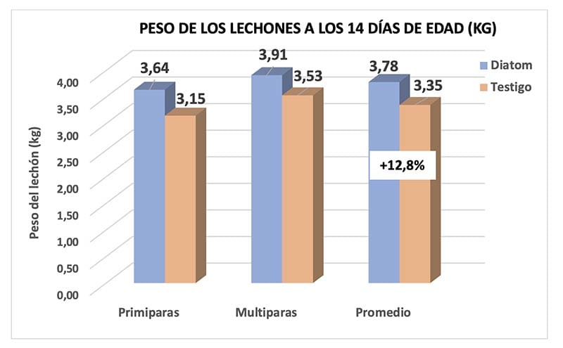 PESO DE LOS LECHONES A LOS 14 DÍAS DE EDAD (KG)
