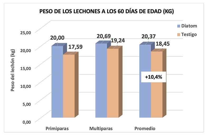 PESO DE LOS LECHONES A LOS 60 DÍAS DE EDAD (KG)
