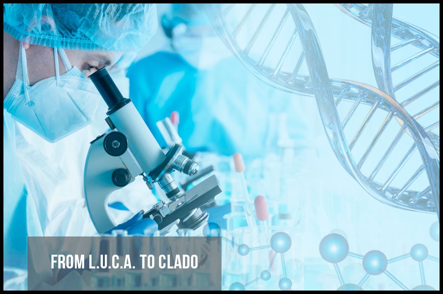 From L.U.C.A. to CLADO