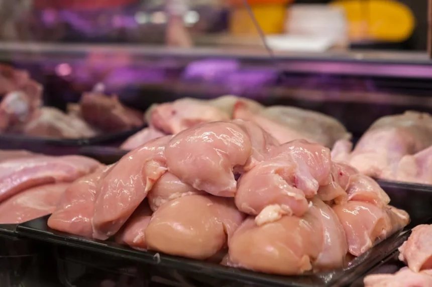 Pollo