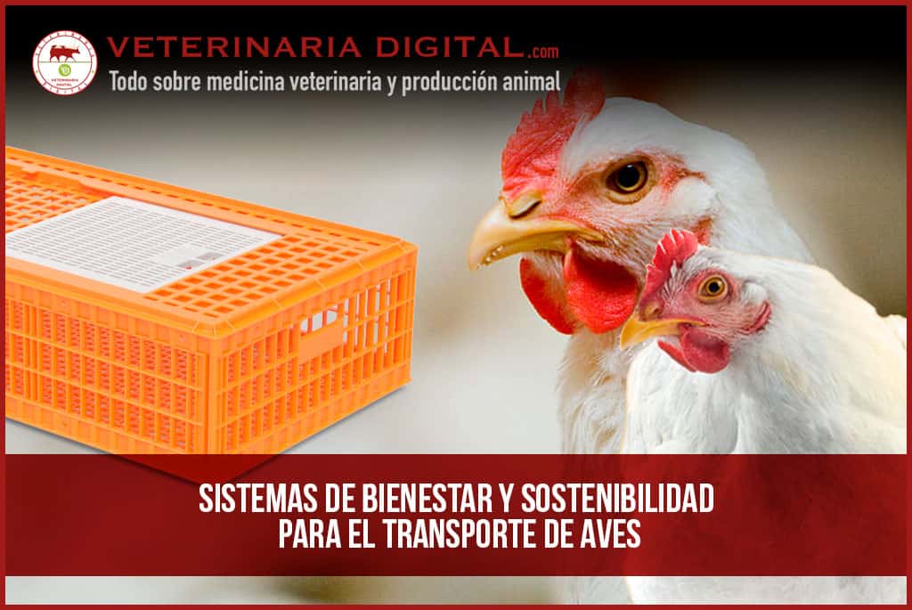 Sistemas de bienestar y sostenibilidad para el transporte de aves