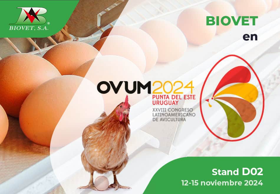 ¡OVUM 2024 está a la vuelta de la esquina!