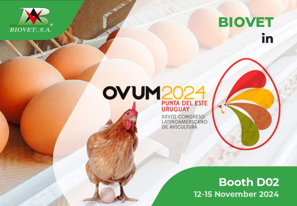 OVUM is just around the corner!!