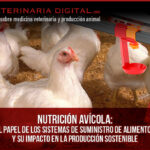 Nutrición avícola: el papel de los sistemas de suministro de alimentos y su impacto en la producción sostenible