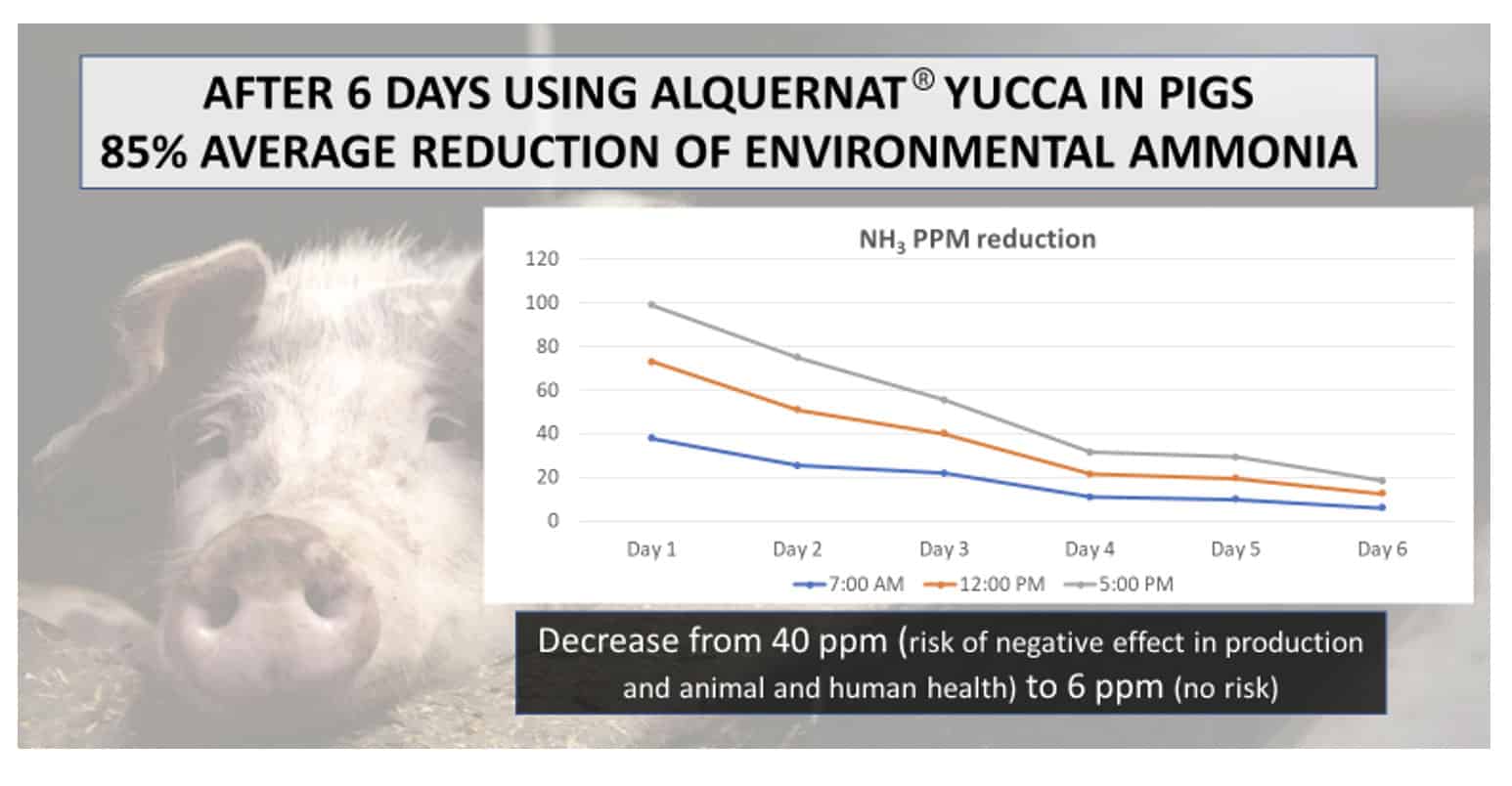 reduce ammonia concentration by up to 85% - reduce ammonia