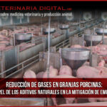 Reducción de gases en granjas porcinas: el papel de los aditivos naturales en la mitigación de emisiones