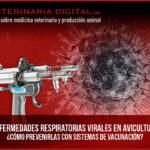 Enfermedades respiratorias virales en avicultura: ¿Cómo prevenirlas con sistemas de vacunación?