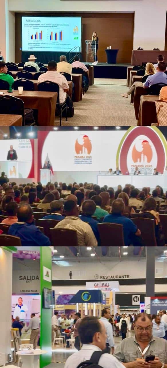 Congreso